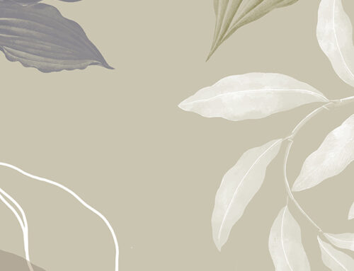 Non-Toxic Living Without the Overwhelm